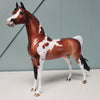 Zinj OOAK Dappled Bay Tobiano Arabian By Ellen Robbins Best Offers 2/5/24