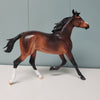 Cuddles OOAK Dappled Bay Arabian Yearling By Dawn Quick Best Offers 2/12/24