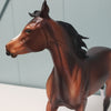 Cuddles OOAK Dappled Bay Arabian Yearling By Dawn Quick Best Offers 2/12/24