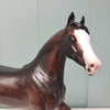 Marie Belle OOAK Dappled Sunburnt Black Arabian Mare By Sheryl Leisure Best Offers 2/12/24