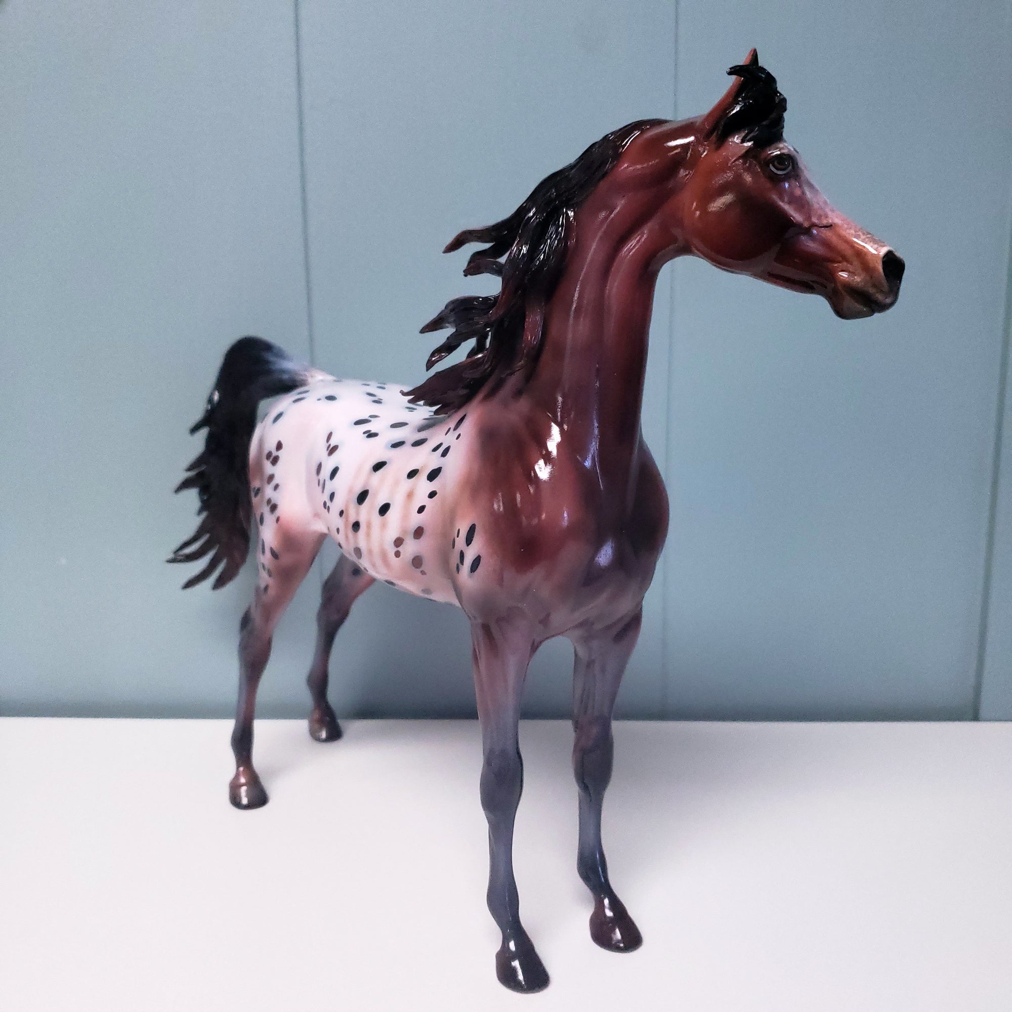 Make My Day OOAK Customized Appaloosa Arabian Stallion By Dawn Quick Val24