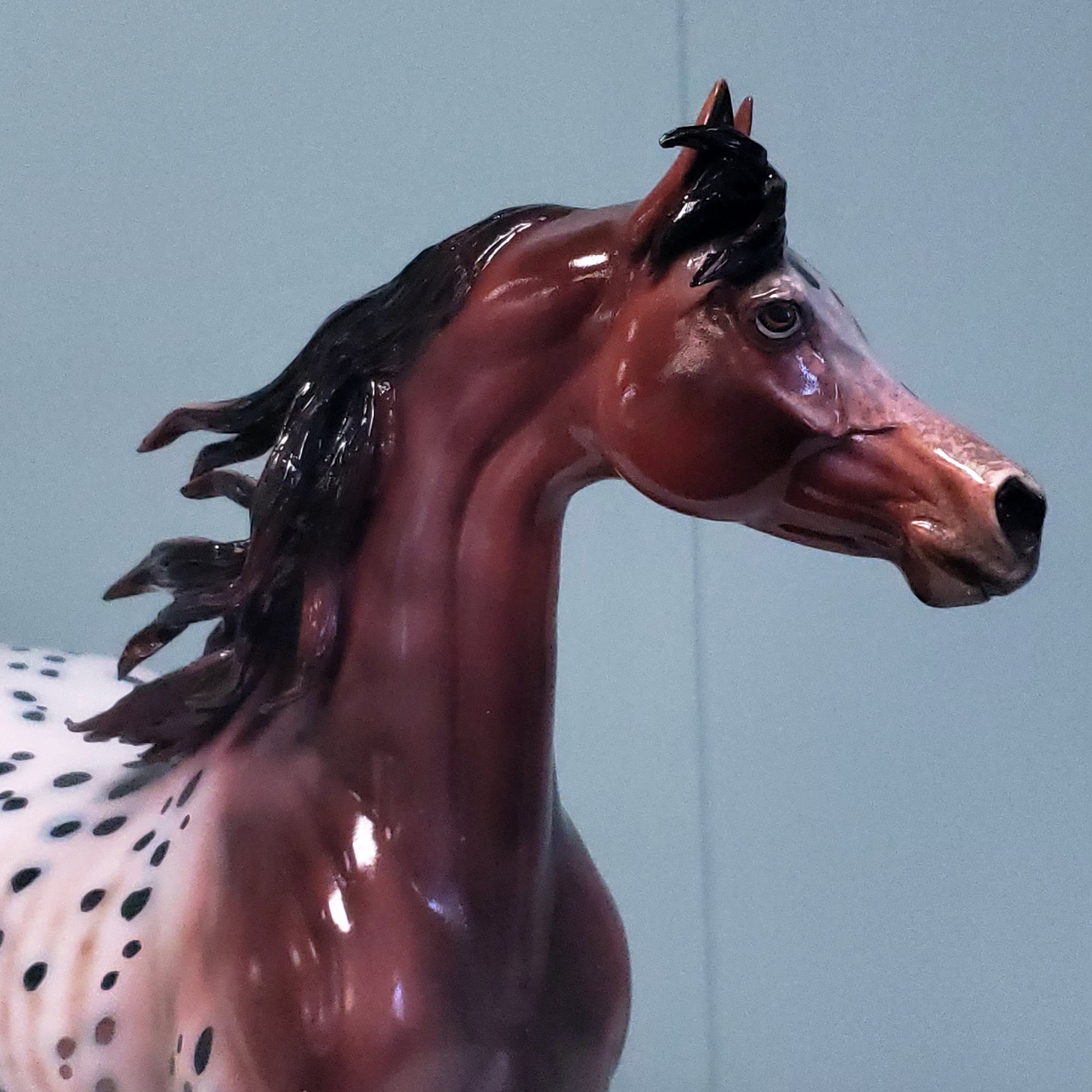 Make My Day OOAK Customized Appaloosa Arabian Stallion By Dawn Quick Val24
