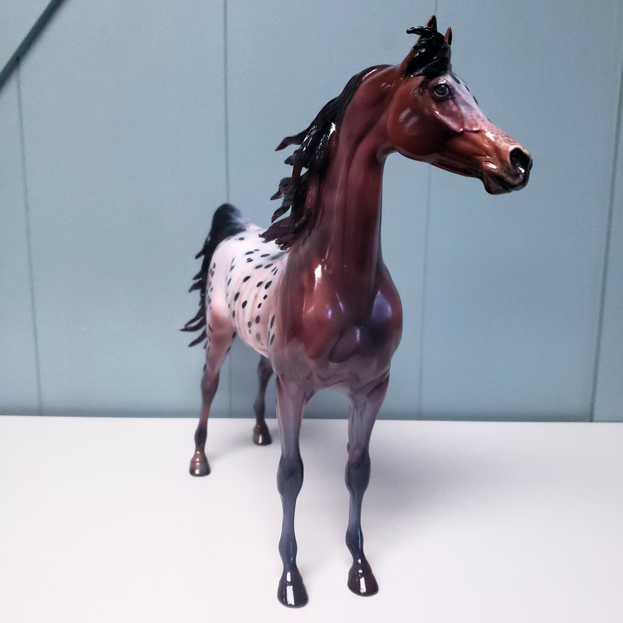 Make My Day OOAK Customized Appaloosa Arabian Stallion By Dawn Quick Val24