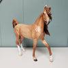 Scheherazade - SAMPLE Light Chestnut Custom Arab Mare SAMPLE By Ellen Robbins Classic Literature Series 2024 GERMANY SALE DEU24