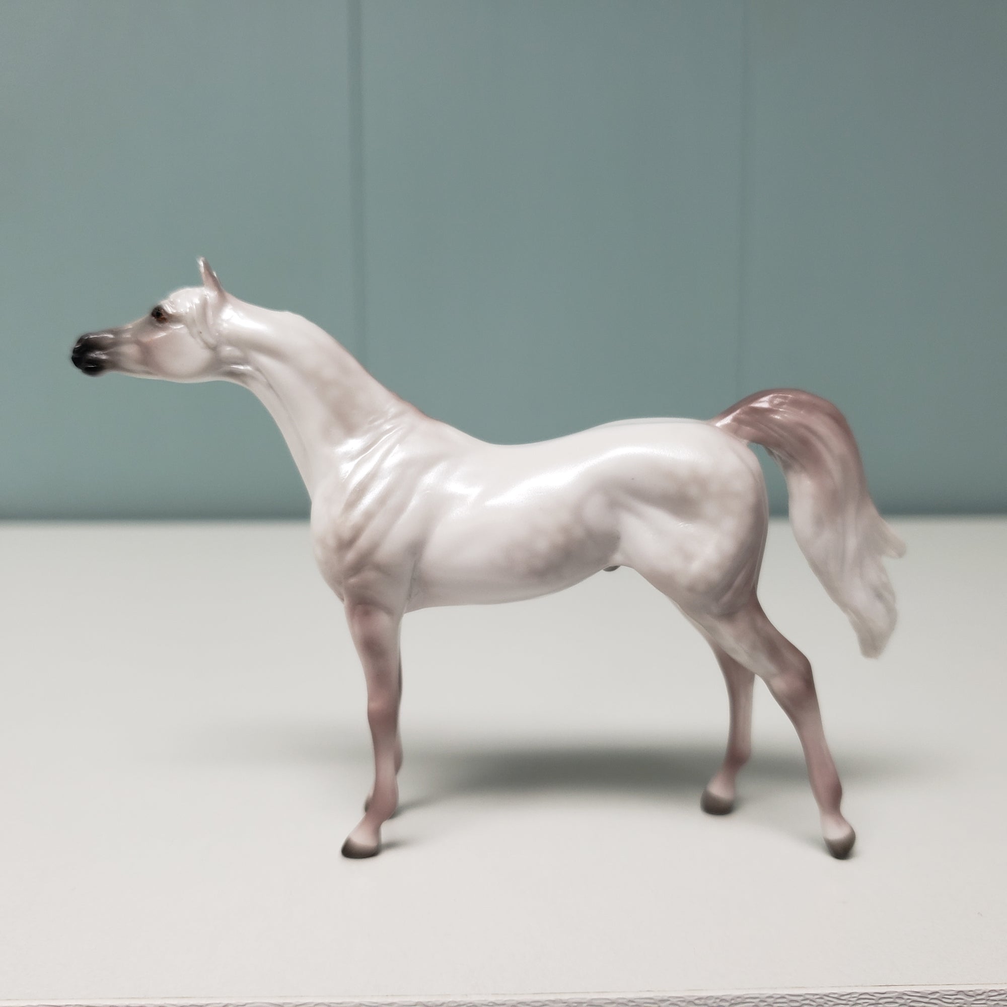 Shah Zaman OOAK Arabian Chip - Classic Literature One Thousand One Arabian Nights Feb 2024