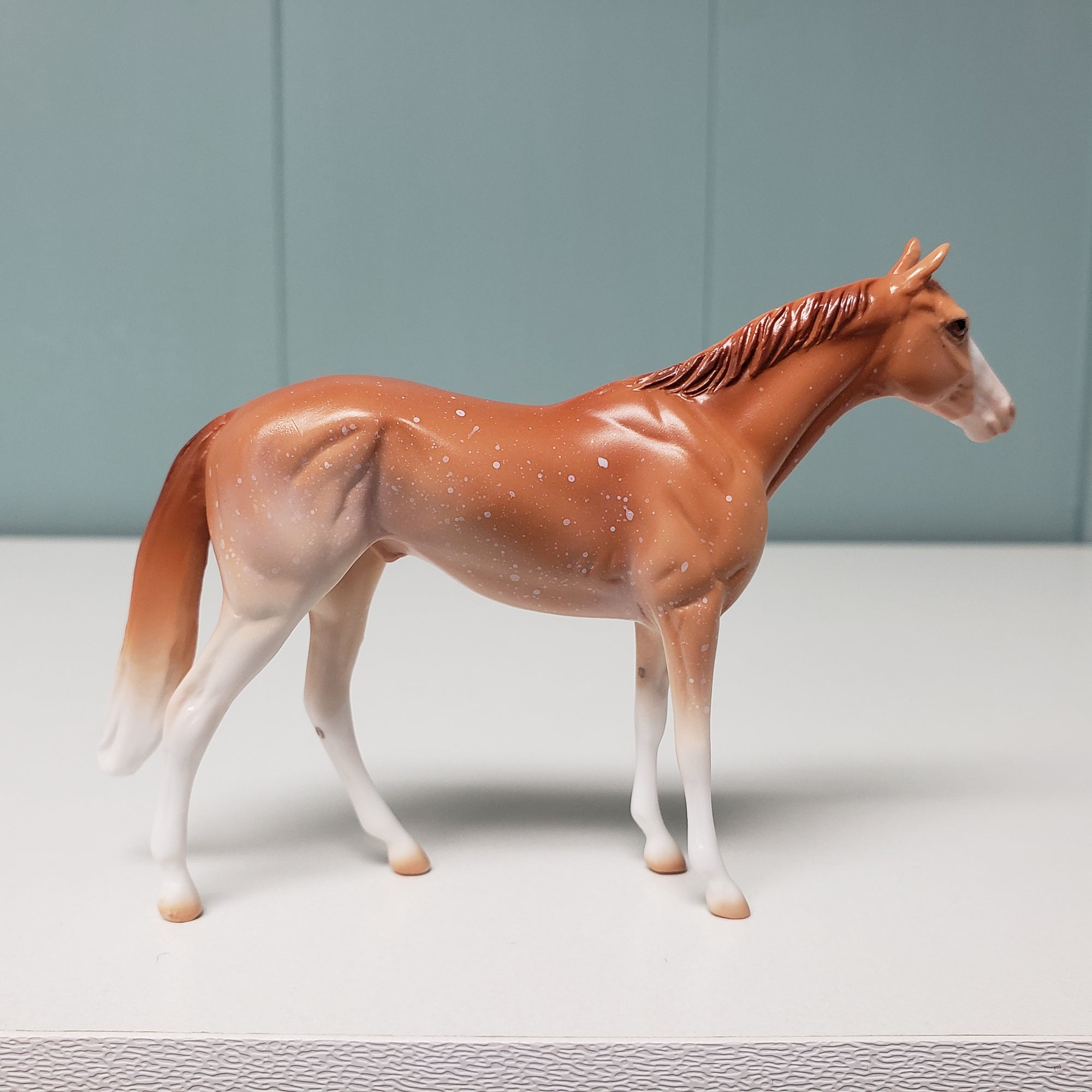 Duban OOAK Thoroughbred Chip - Classic Literature One Thousand One Arabian Nights Feb 2024
