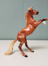 BacBouc OOAK Rearing Chip - Classic Literature One Thousand One Arabian Nights Feb 2024