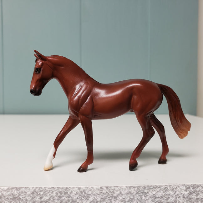 Barber Of Baghdad - OOAK Warmblood Chip - Classic Literature One Thousand One Arabian Nights Feb 2024