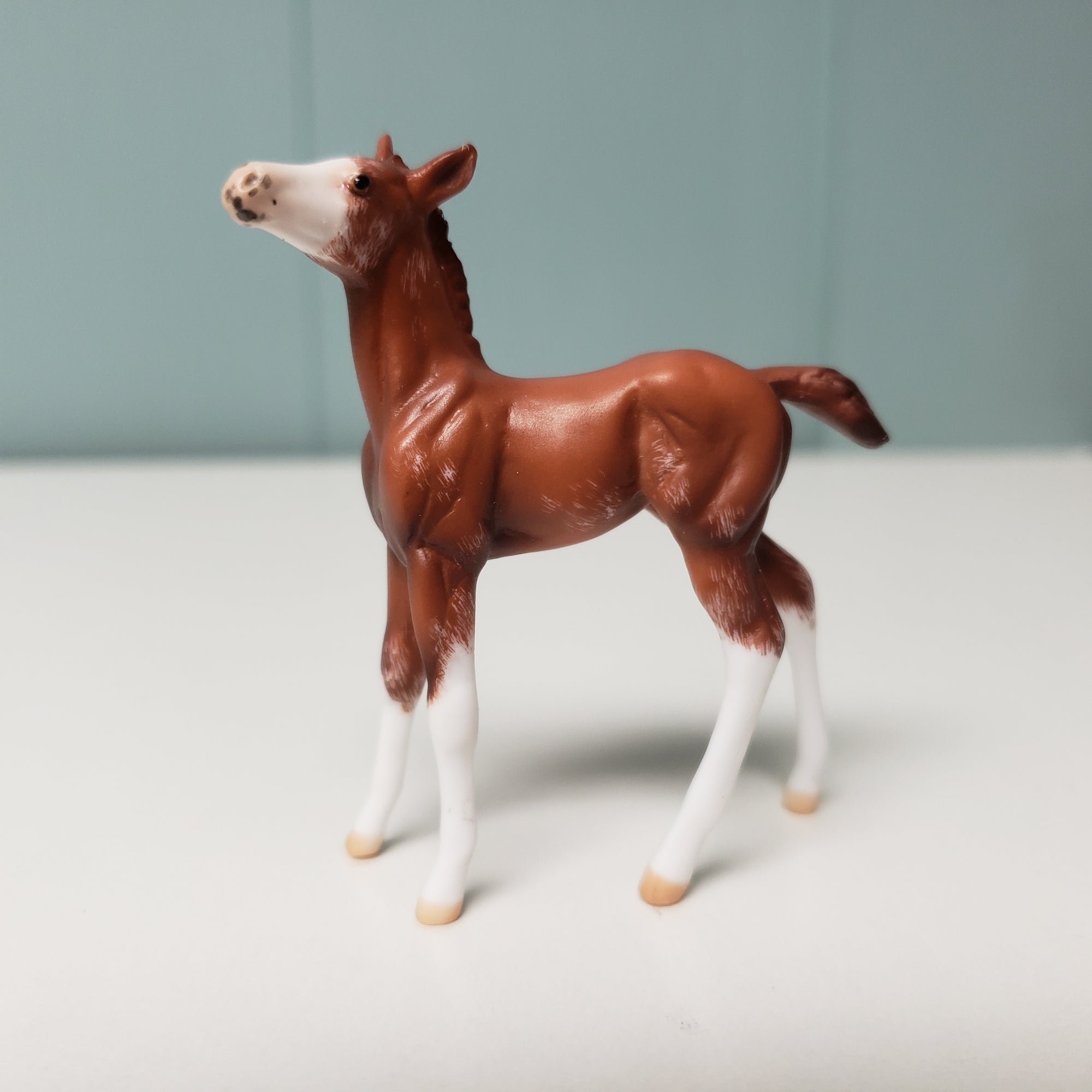 Cliffhanger OOAK Foal Chip - Classic Literature One Thousand One Arabian Nights Feb 2024