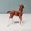 Cliffhanger OOAK Foal Chip - Classic Literature One Thousand One Arabian Nights Feb 2024