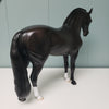 Broken Requiem OOAK Dappled Sunburnt Black Andalusian By Ashley Palmer Val24