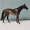 Casanova OOAK Dapple Sooty Buckskin Thoroughbred Chip By Jess Hamill Val24