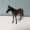 Casanova OOAK Dapple Sooty Buckskin Thoroughbred Chip By Jess Hamill Val24