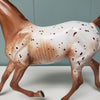 Wispa Gold OOAK Appaloosa Yearling By Sheryl Leisure Best Offers 2/19/24