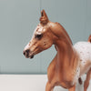 Wispa Gold OOAK Appaloosa Yearling By Sheryl Leisure Best Offers 2/19/24