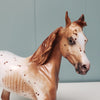 Wispa Gold OOAK Appaloosa Yearling By Sheryl Leisure Best Offers 2/19/24