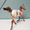 Wispa Gold OOAK Appaloosa Yearling By Sheryl Leisure Best Offers 2/19/24