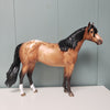 Zenith OOAK Appaloosa Ideal Stock Horse By Sheryl Leisure Best Offers 2/19/24