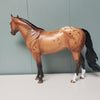 Zenith OOAK Appaloosa Ideal Stock Horse By Sheryl Leisure Best Offers 2/19/24