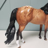 Zenith OOAK Appaloosa Ideal Stock Horse By Sheryl Leisure Best Offers 2/19/24