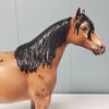 Zenith OOAK Appaloosa Ideal Stock Horse By Sheryl Leisure Best Offers 2/19/24