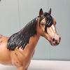 Zenith OOAK Appaloosa Ideal Stock Horse By Sheryl Leisure Best Offers 2/19/24