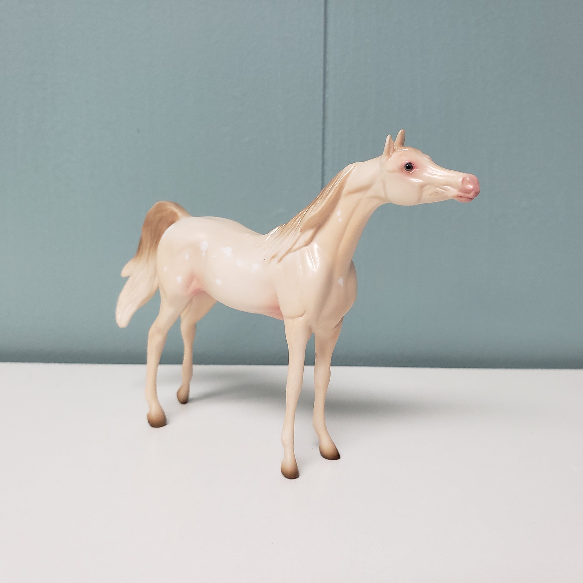 Bubblin Love OOAK Cremello W/ Birdcatcher Spots Arabian Chip By Ashley Palmer  Val24