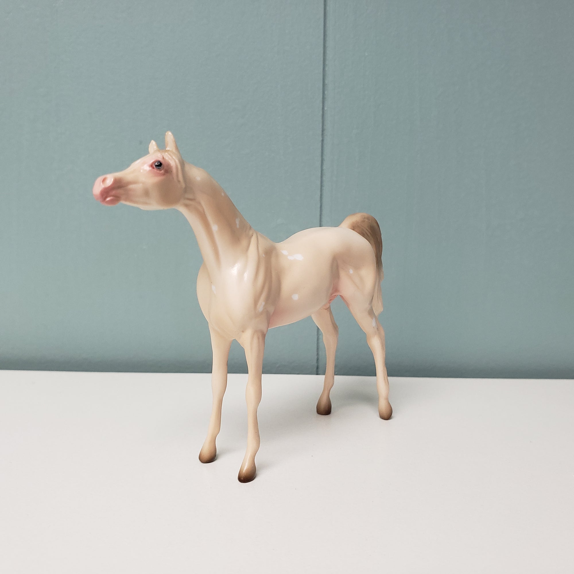 Bubblin Love OOAK Cremello W/ Birdcatcher Spots Arabian Chip By Ashley Palmer  Val24