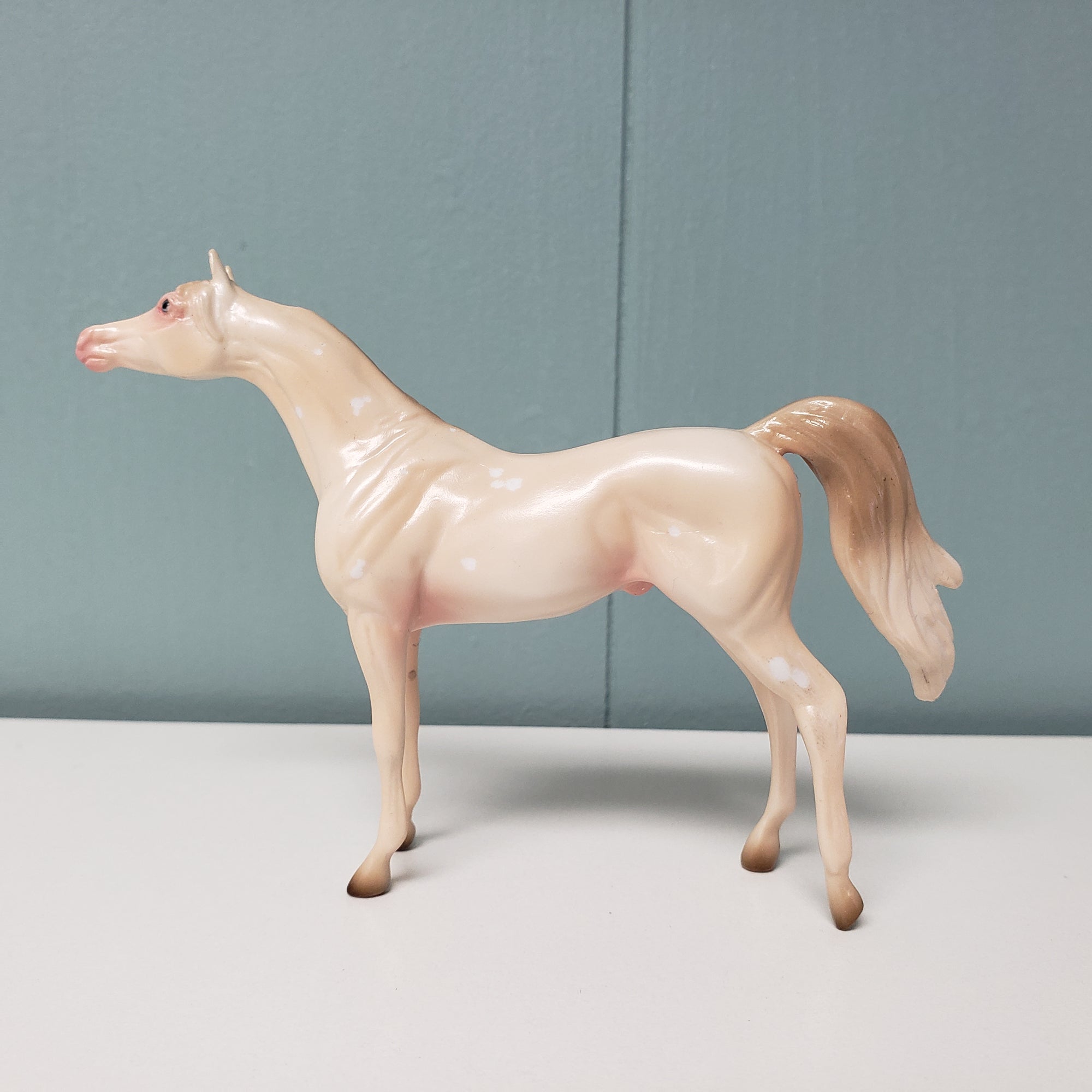 Bubblin Love OOAK Cremello W/ Birdcatcher Spots Arabian Chip By Ashley Palmer  Val24