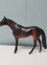 Amor OOAK Seal Bay Thoroughbred Chip By  Angela Marleau  Val24