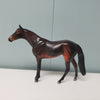 Amor OOAK Seal Bay Thoroughbred Chip By  Angela Marleau  Val24