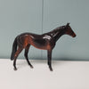 Amor OOAK Seal Bay Thoroughbred Chip By  Angela Marleau  Val24