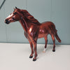 Rhys OOAK Dappled Copper Chestnut Deco Mustang By Angela Marleau Val24