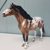 Mystique OOAK Buckskin Roan Appaloosa Mustang By Jess Hamill Val24