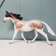 Betrothed OOAK Bay Roan Splash Palouse By Angela Marleau Val24