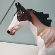 Betrothed OOAK Bay Roan Splash Palouse By Angela Marleau Val24