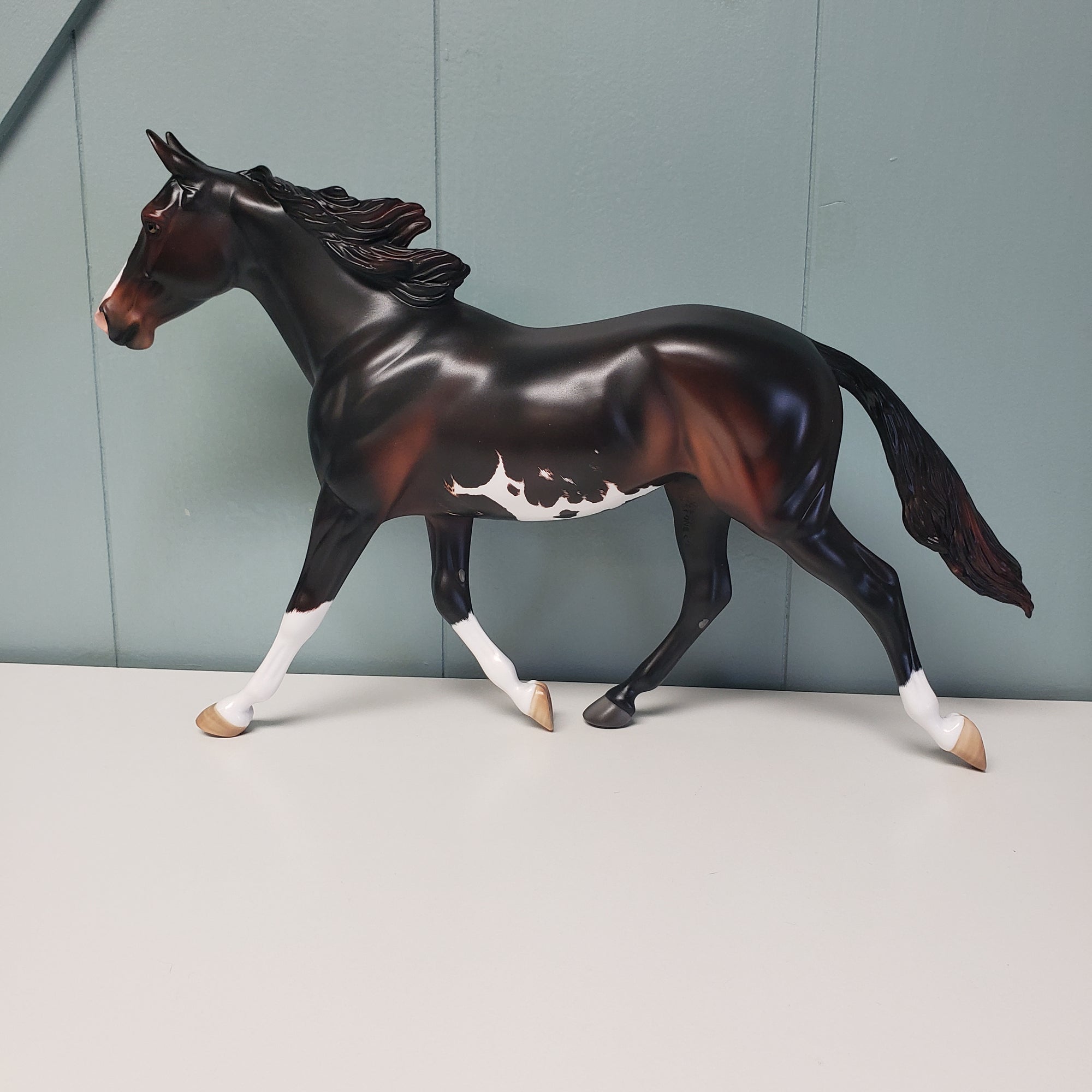 Enamored OOAK Seal Bay Sabino Palouse By Angela Marleau Val24