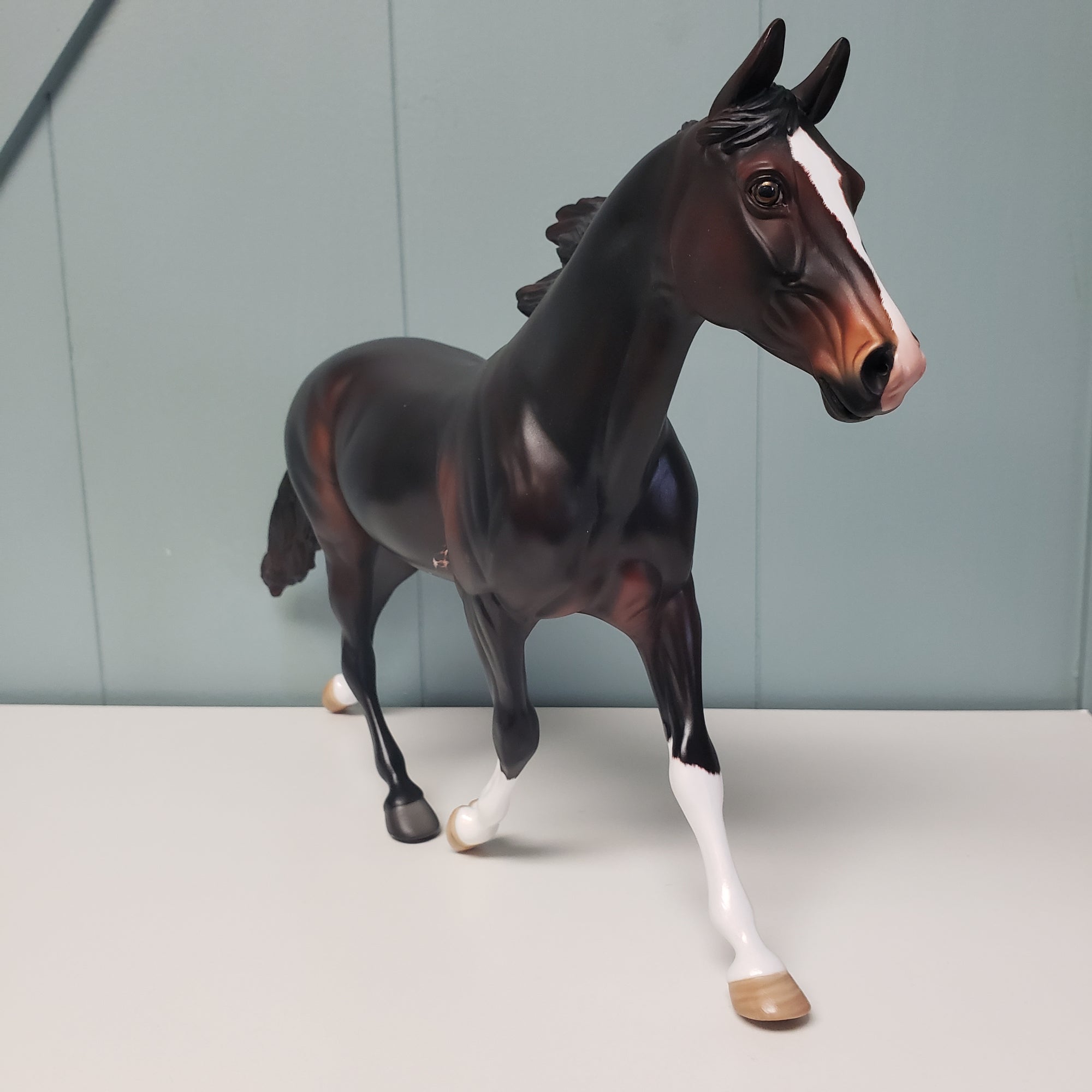 Enamored OOAK Seal Bay Sabino Palouse By Angela Marleau Val24