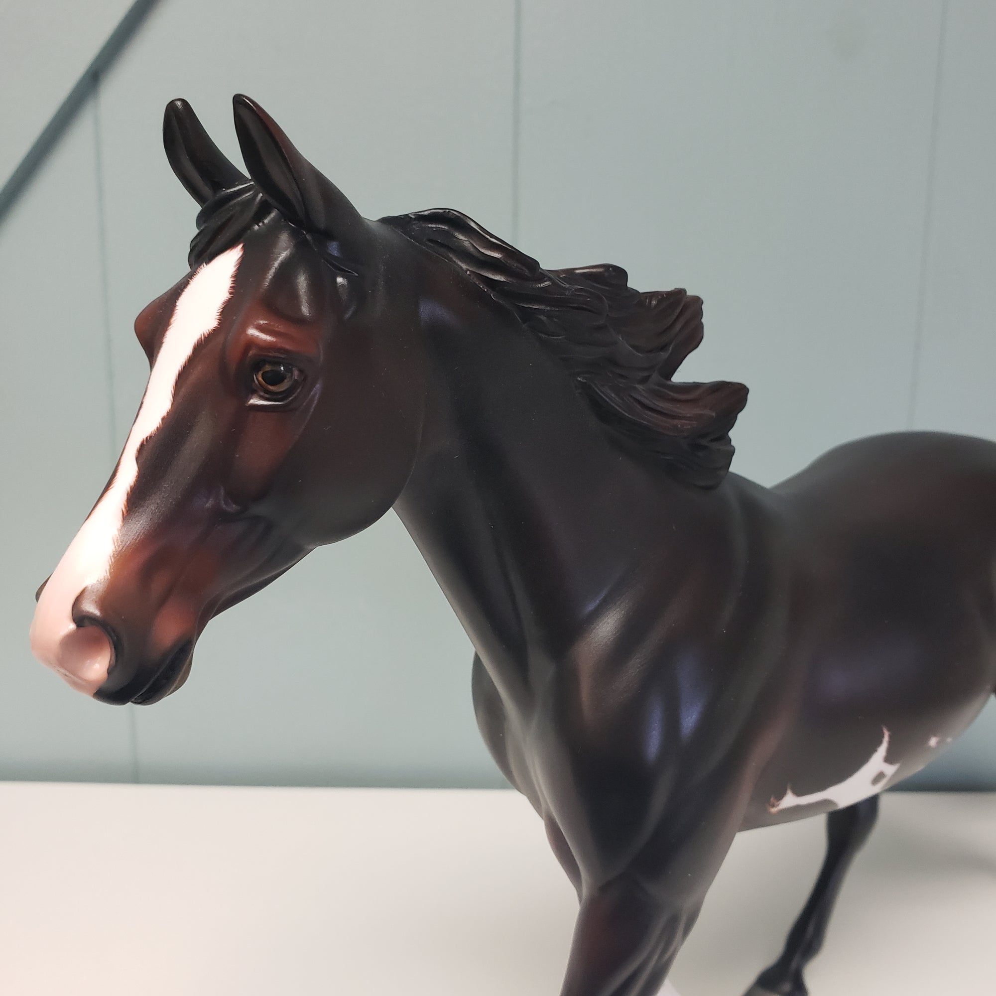 Enamored OOAK Seal Bay Sabino Palouse By Angela Marleau Val24