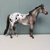 Thinking of You LE 5 Appaloosa Ideal Stock Horse by Julie Keim Val24