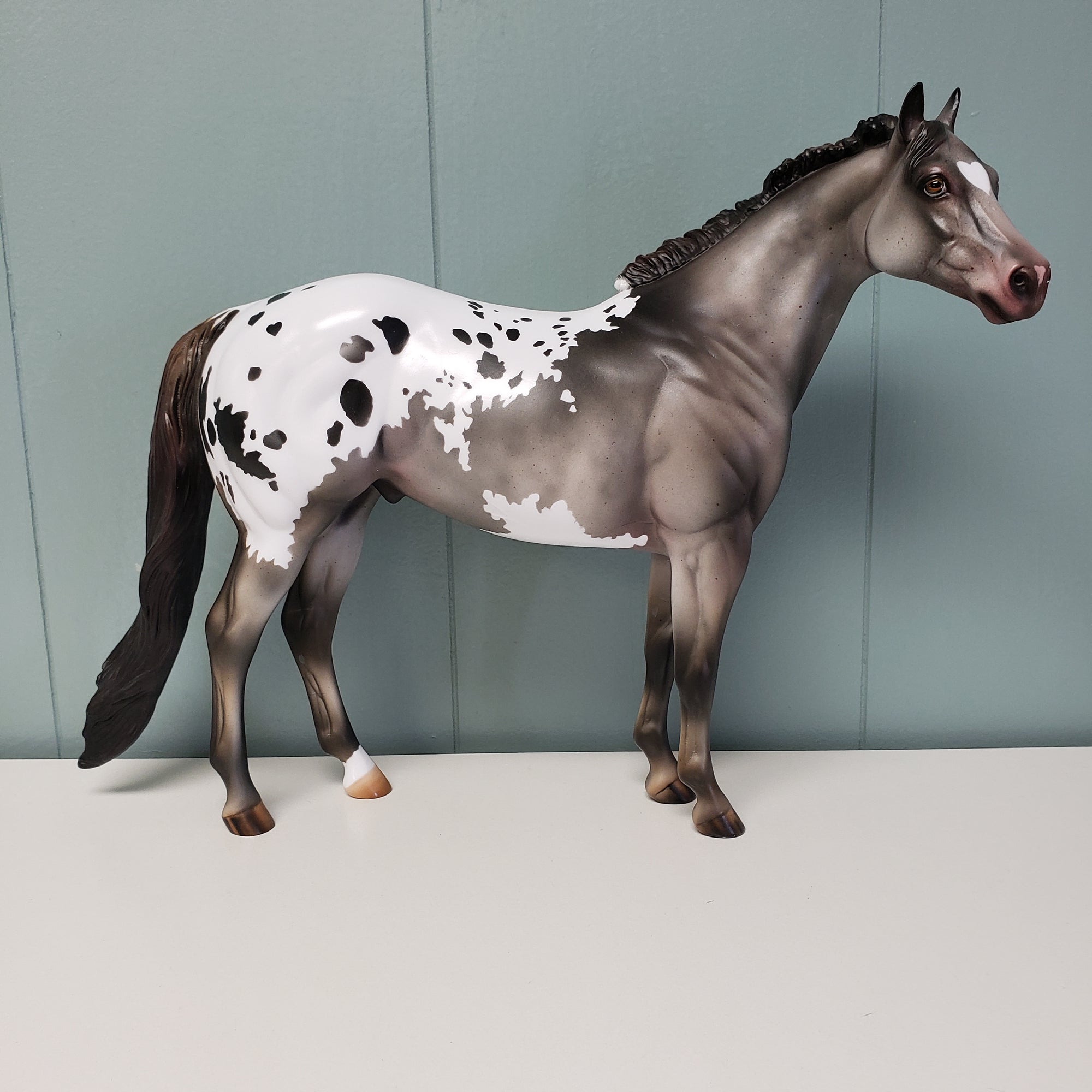 Thinking of You LE 5 Appaloosa Ideal Stock Horse by Julie Keim Val24