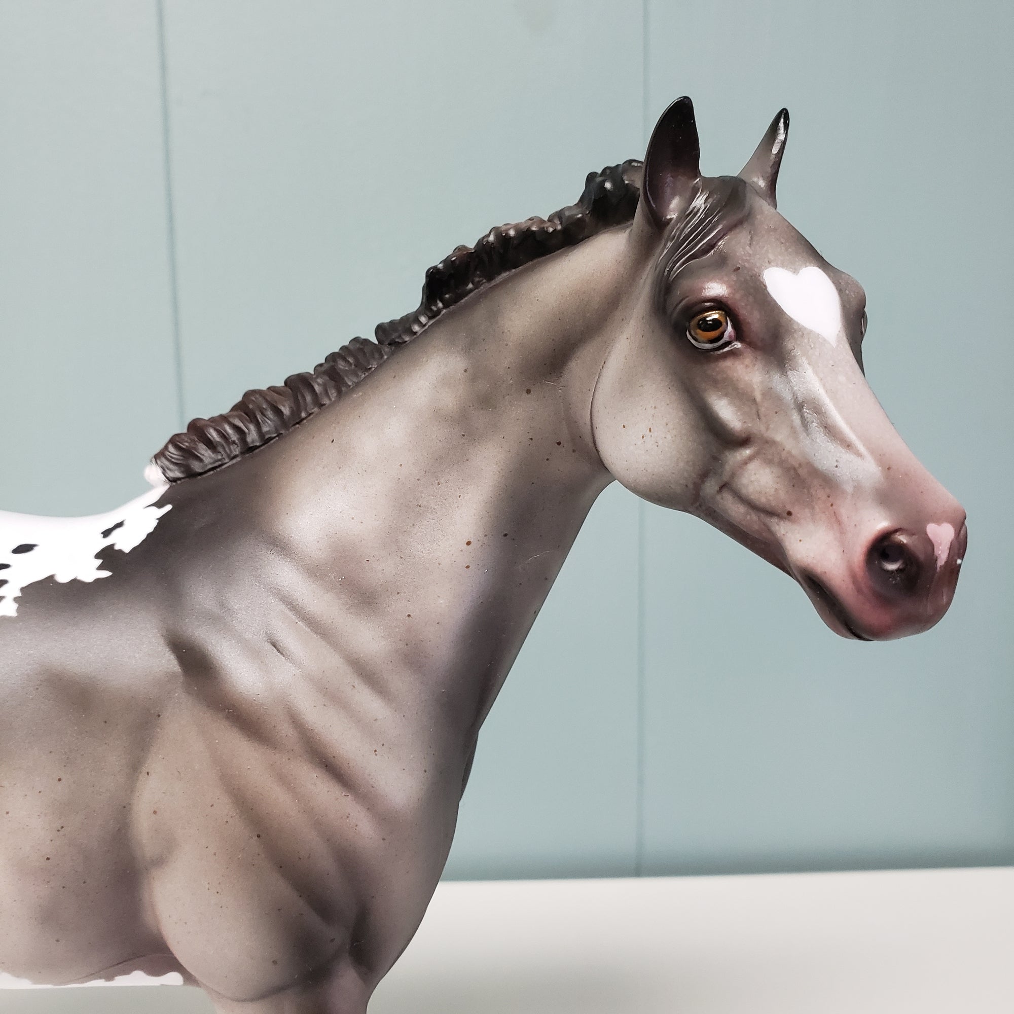 Thinking of You LE 5 Appaloosa Ideal Stock Horse by Julie Keim Val24