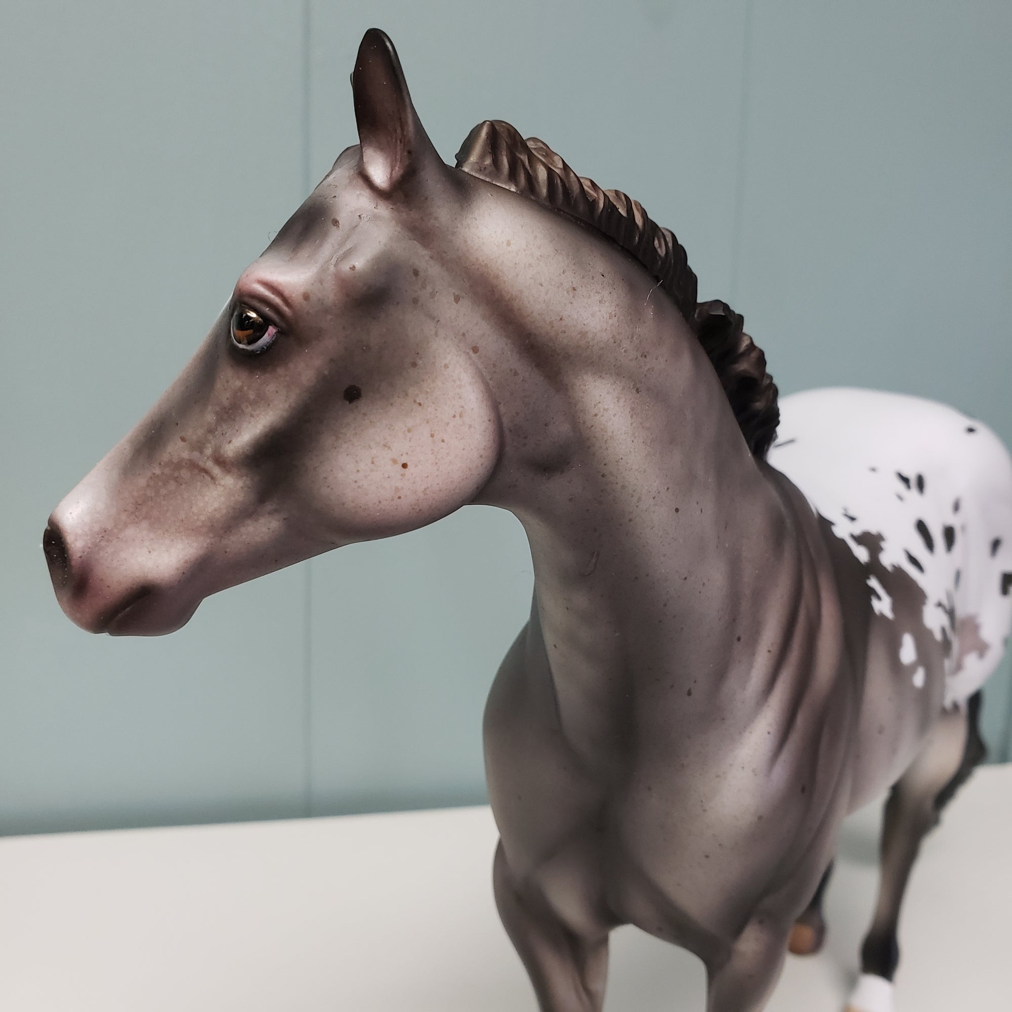 Thinking of You LE 5 Appaloosa Ideal Stock Horse by Julie Keim Val24