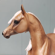 Glimmer and Guy from Chiefs Set- Arabian Mare and Trotting Draft