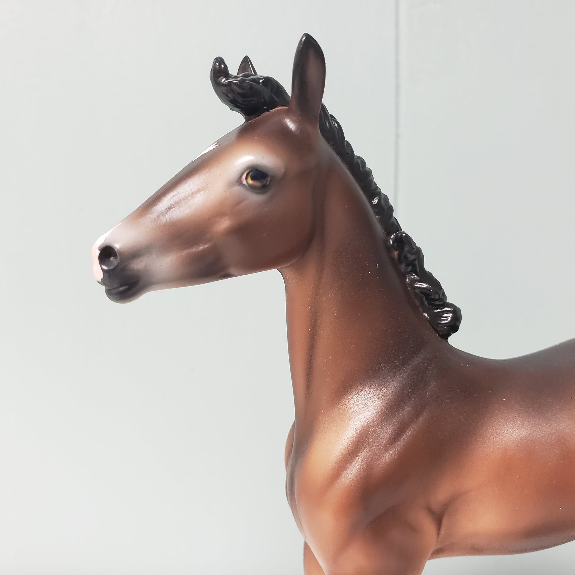 Amorcito OOAK Dark Bay Going Gray Arabian Foal By Ashley Palmer Best Offers 2/26/24