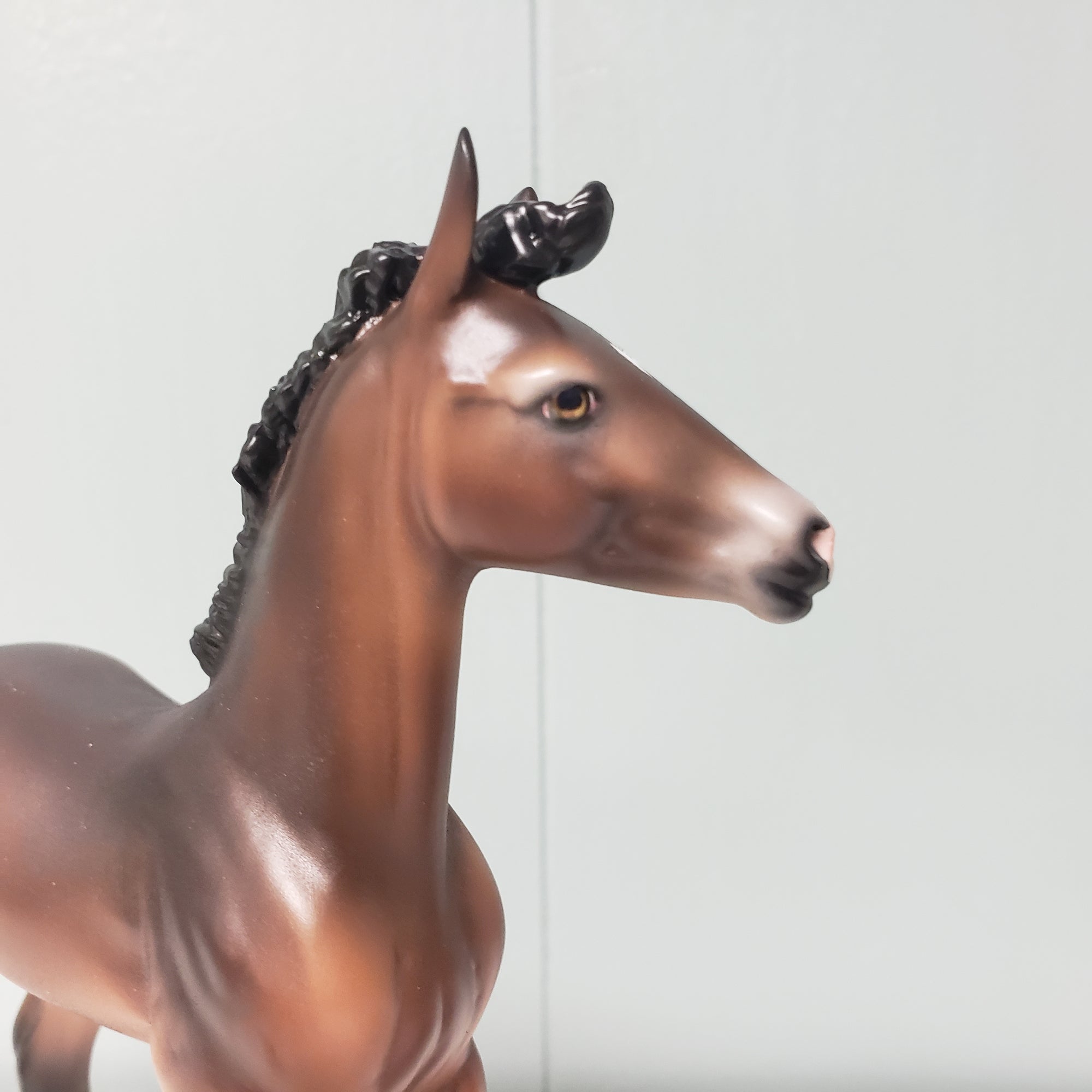 Amorcito OOAK Dark Bay Going Gray Arabian Foal By Ashley Palmer Best Offers 2/26/24