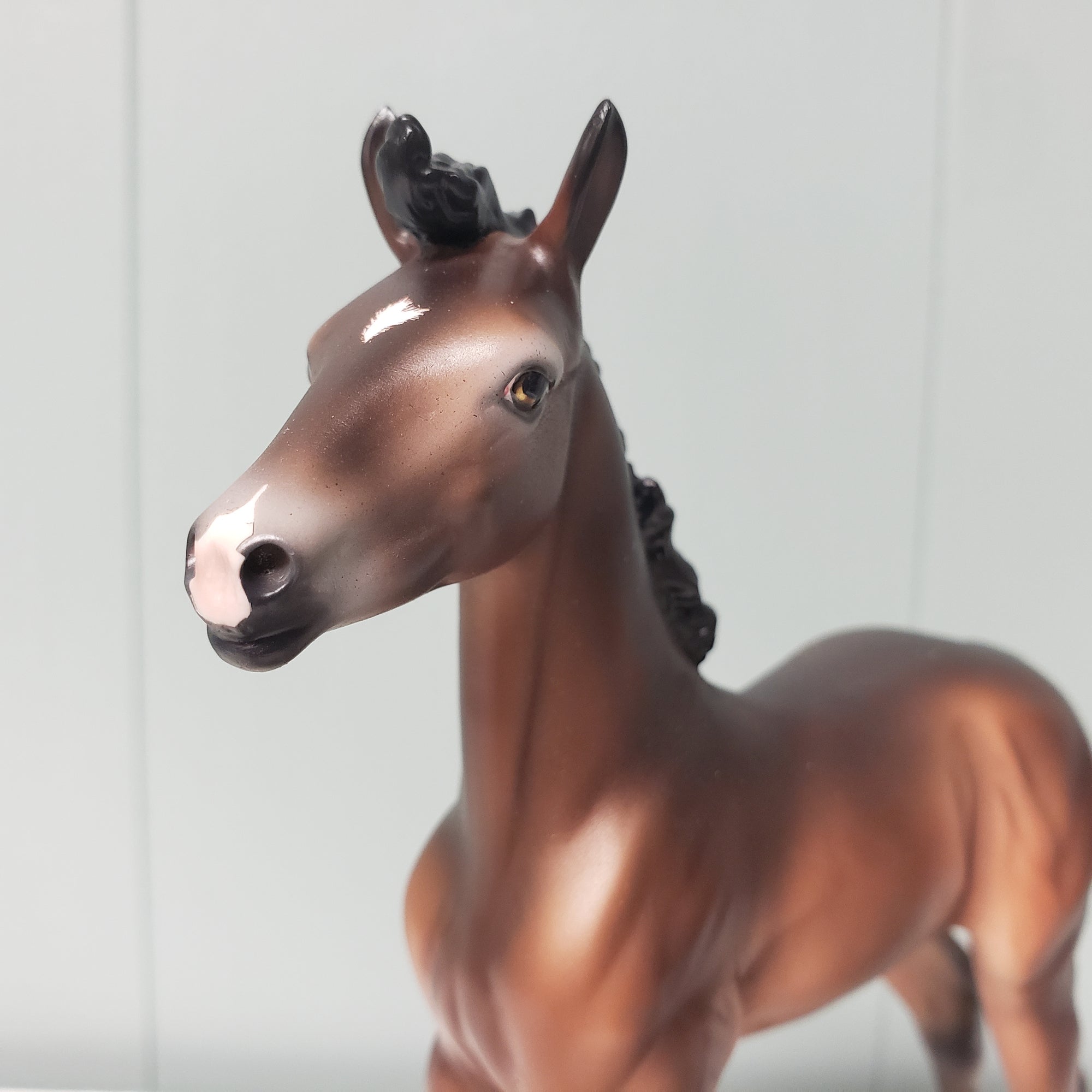 Amorcito OOAK Dark Bay Going Gray Arabian Foal By Ashley Palmer Best Offers 2/26/24