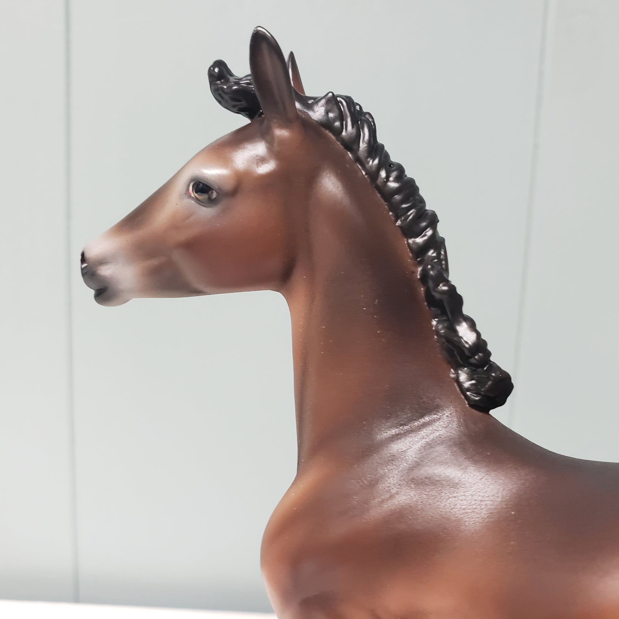 Amorcito OOAK Dark Bay Going Gray Arabian Foal By Ashley Palmer Best Offers 2/26/24