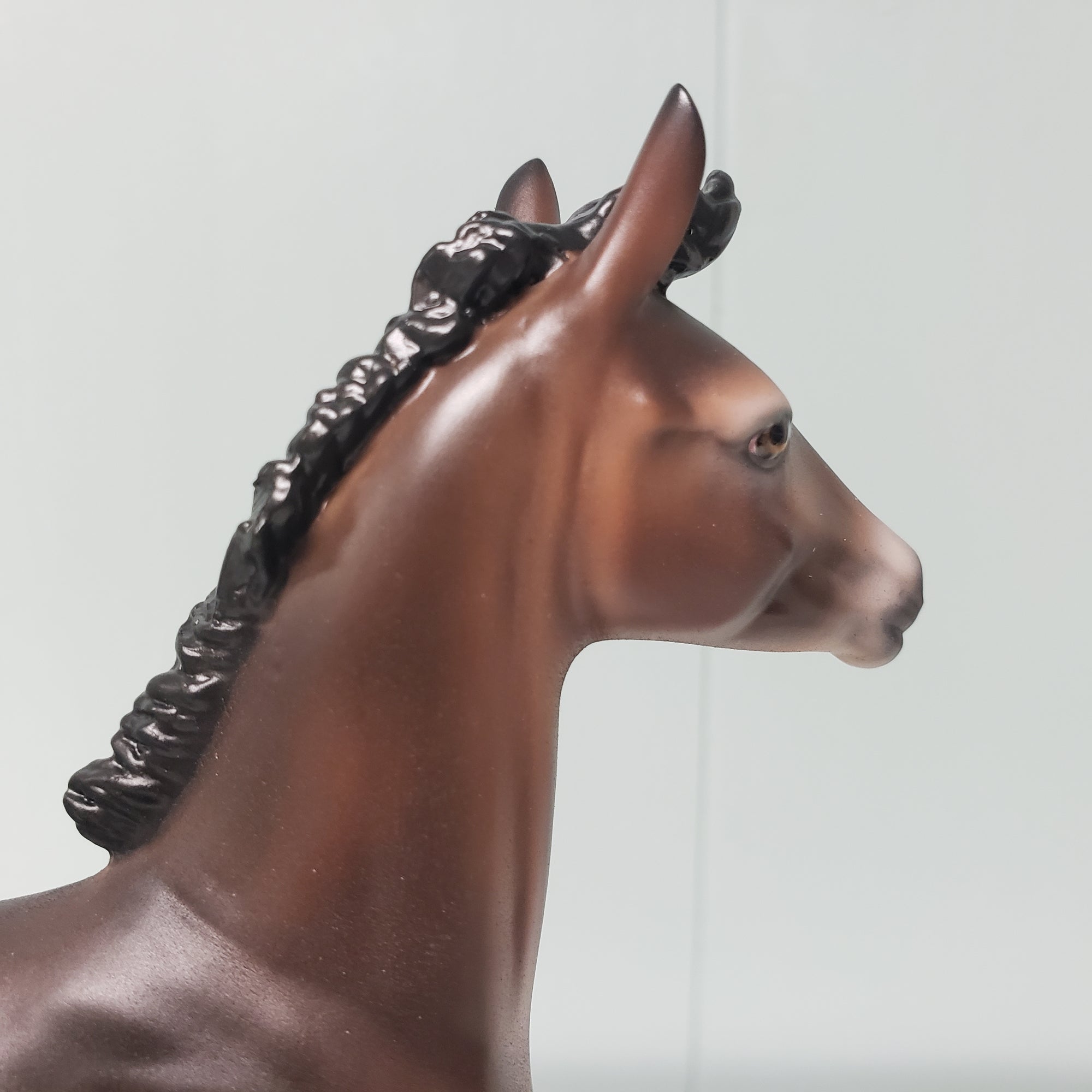 Amorcito OOAK Dark Bay Going Gray Arabian Foal By Ashley Palmer Best Offers 2/26/24