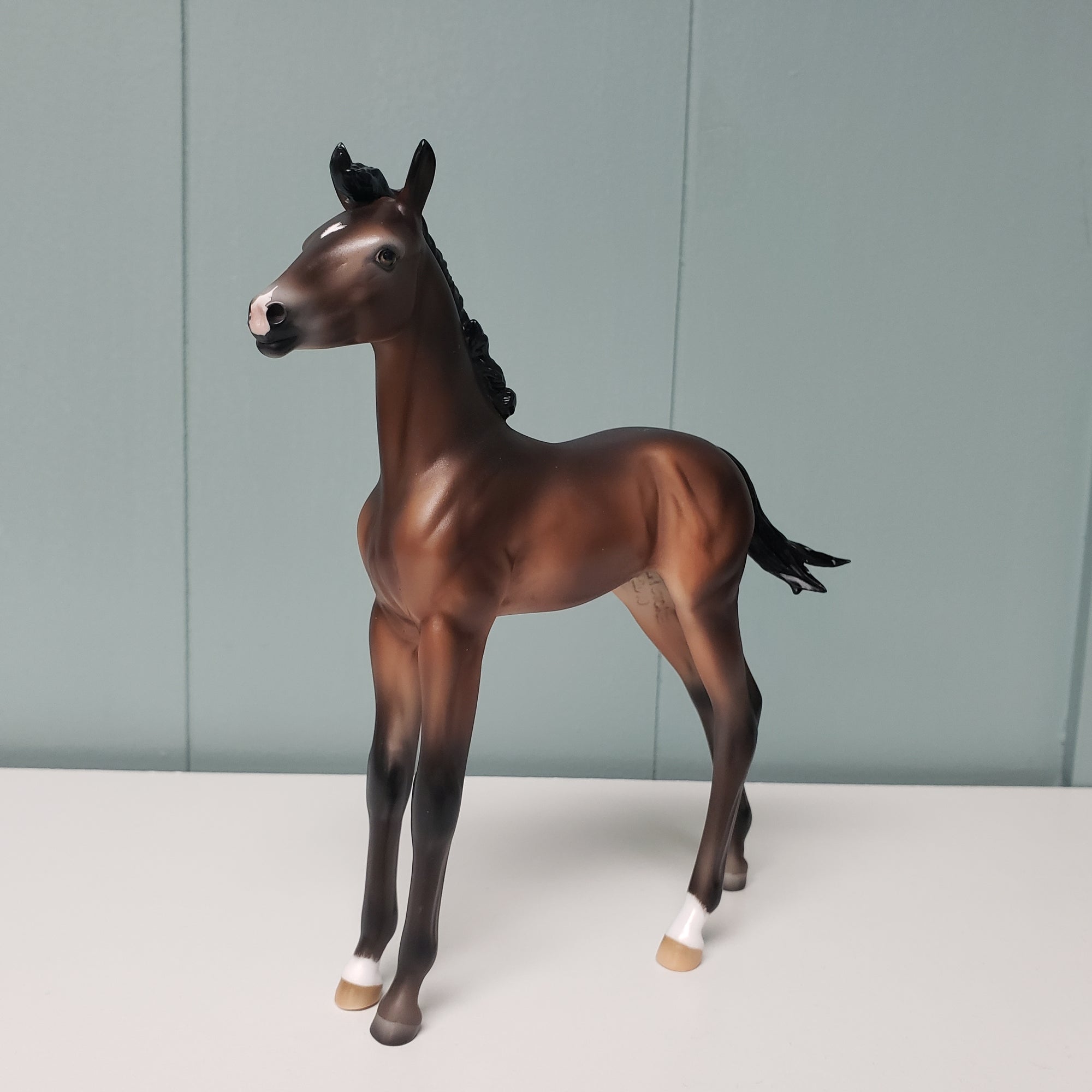 Amorcito OOAK Dark Bay Going Gray Arabian Foal By Ashley Palmer Best Offers 2/26/24